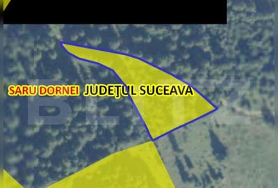 Teren de 2530 mp, Saru Dornei, Suceava - 1