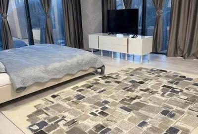 Apartament cu 2 camere decomandat, mobilat în Rovine - 5