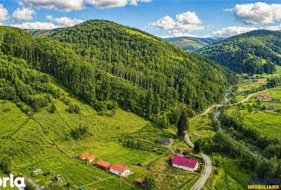 Casă cu 2 camere cu Teren 5425 Mp în Vama Buzăului - 8