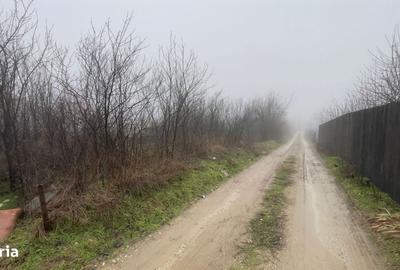 Spațiu comercial, în Malu Mare - 3