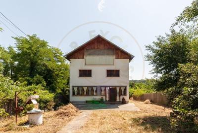 Casa rustica P+1 in zona de deal - Bogati, AG - 7