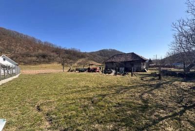 Casă cu 2 camere în Măgoaja - 1