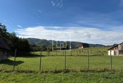 Teren intravilan 2020 mp cu deschidere 24 ml in zona Tocile 58 Euro/MP - 7