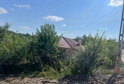 Casă cu 3 camere în Central - 3