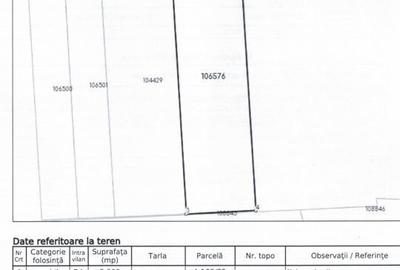Teren de 5000 mp, în Tuzla