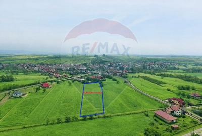 Teren Construcții intravilan de 6956 mp, în Brăișoru - 1