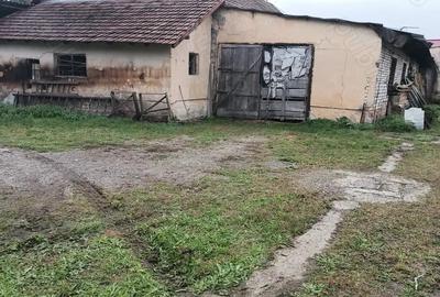 Hala de produc?ie - 4