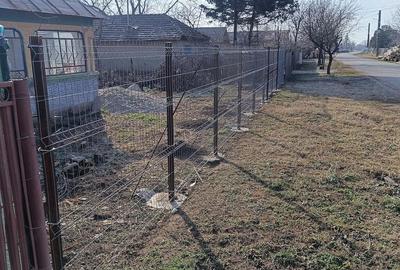 Casă cu Teren 4800 Mp în Balta Doamnei - 2