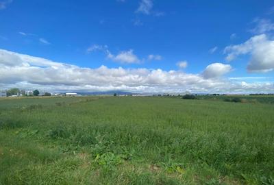 Teren extravilan, 7000mp, Cristian - 2