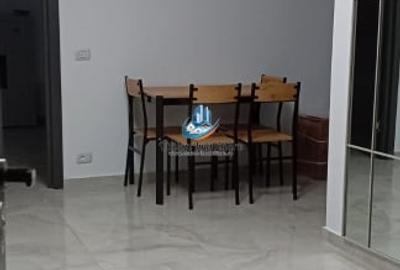 Apartament 2 camere decomandat, parter, Precista - 9