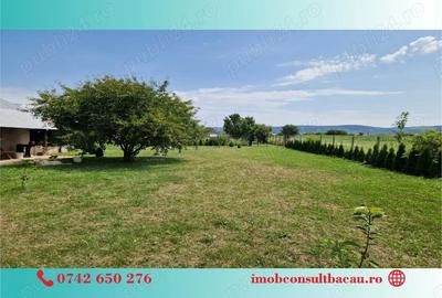 Un colt de rai pe-un picior de plai! CE1210 - 6