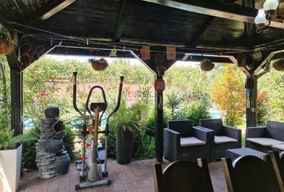 Vila 6 Camere - Domnesti - 37