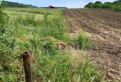 Teren intravilan | 5100 mp | zona Gusterita - 5