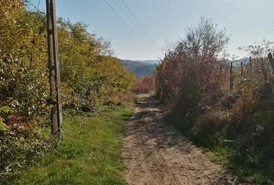 Casă cu 2 camere în Central - 1