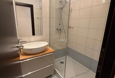 Apartament cu 3 camere, mobilat în Iancu Nicolae - 16