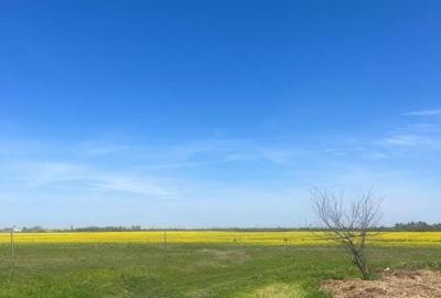 Teren de 500 mp, în Galicea Mare - 1