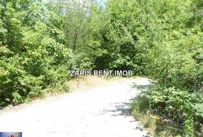 Teren intavilan langa Casa Seciu, Prahova - 5