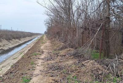 Spațiu comercial, în Dragalina - 5