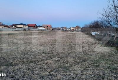 Teren de 515 mp, în Torontalului
