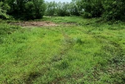 Teren de vanzare intravilan Com Fardea Jud Timis - Langa lacul Surduc - 6