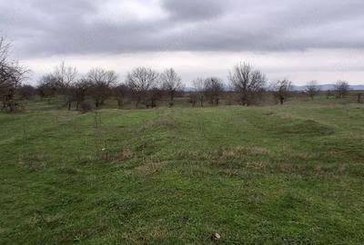 Teren de 3700 mp, în Central - 6