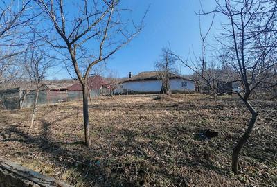 Casă cu Teren 720 Mp în Crihan - 1