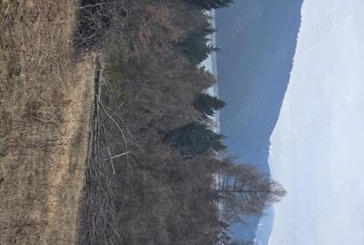 Teren de 2000 mp, în Hangu - 4
