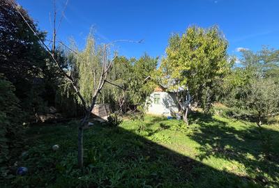 Vand sau schimb casa zona munte - 4