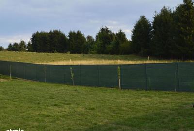 Teren de 522 mp, în Central