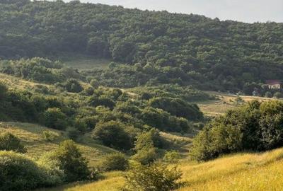 Teren de 1000 mp, în Florești - 1