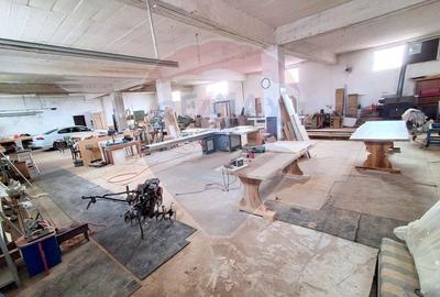 Proprietate specială, de 648 mp, în Sohatu - 2