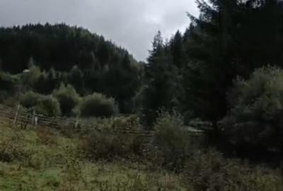 Teren Construcții intravilan de 6000 mp, în Ortoaia - 6