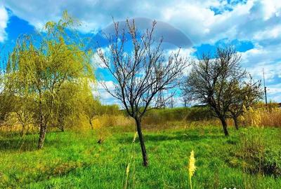 Teren de 9765 mp, în Independenței - 10