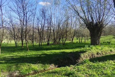 Teren de 1506 mp, în Drajna - 2