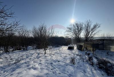 Teren intravilan de 4870 mp, în Sintești - 9