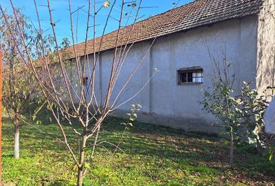 Casă cu 4 camere în Bretea Mureșană - 1