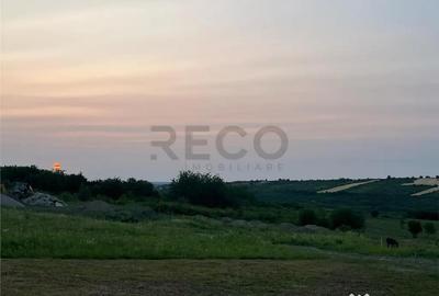 Teren de 903 mp, în Paleu - 12