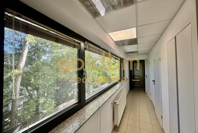 INVESTITIE/PRELUARE CHIRIAS/PARTER PLUS ETAJ INVESTITIE/PRELUARE CHIRIAS/PARTER PLUS ETAJ - 46