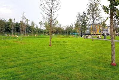 Vanzare spatiu comercial, investitie cu venit imediat, Drumul Binelui - 17