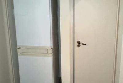 Lacul Tei, Parcul Circului, Lidl, Mega Image, adiacent - 13