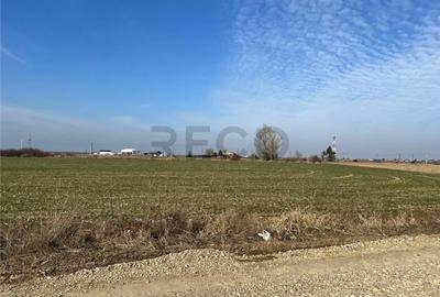 Teren de 5985 mp, în Nojorid - 7