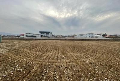 Spatiu Industrial, 912mp, Hala depozitare E85, Darmanesti. - 3