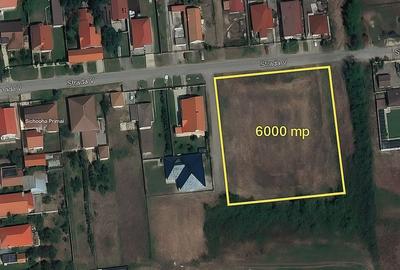 Teren de 520 mp, în Săcălaz - 2