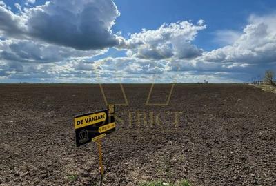 Teren extravilan pentru constructii industriale 5ha | Sag | Frigoglass - 3