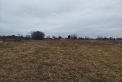 Teren de 2000 mp, în Grădiștea - 4