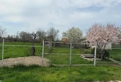 Teren de 5400 mp, în Păltinișu - 1