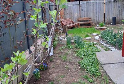 Apartament cu 3 camere decomandat în Roșu - 2