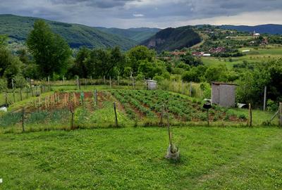 Casă cu 3 camere în Bălnaca - 6