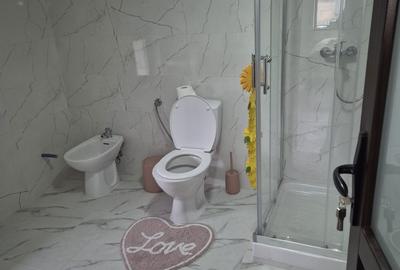 Casă cu 2 camere în Vasile Alecsandri - 8