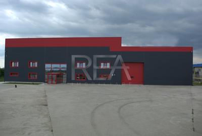 Spațiu industrial, de 3,913.1000976563 mp, în Filipeștii de Pădure - 2